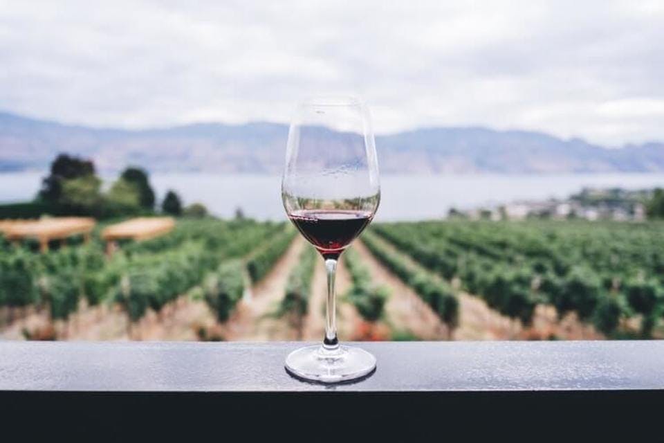 ワイン畑とワイン