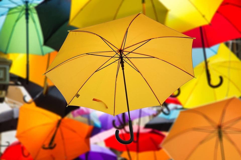 黄色のレディース折りたたみ傘