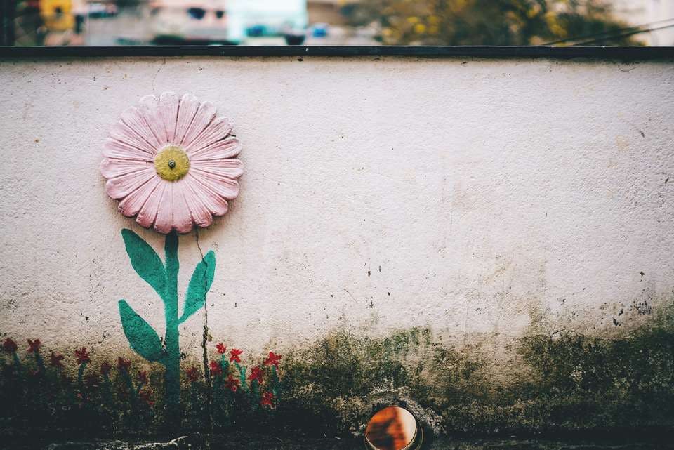 小さなお花