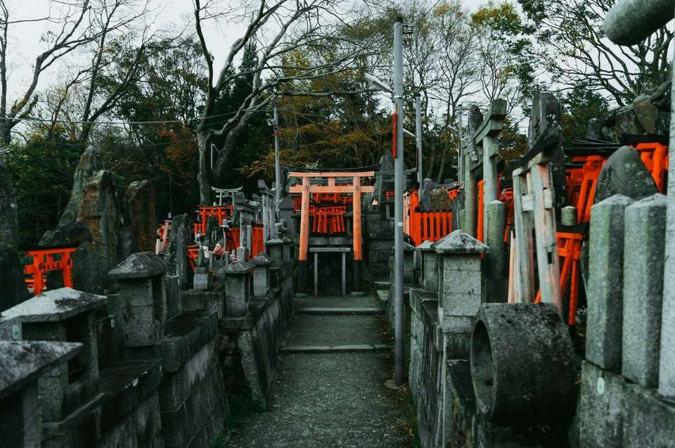 ご利益が得られるお守りが買える京都の神社