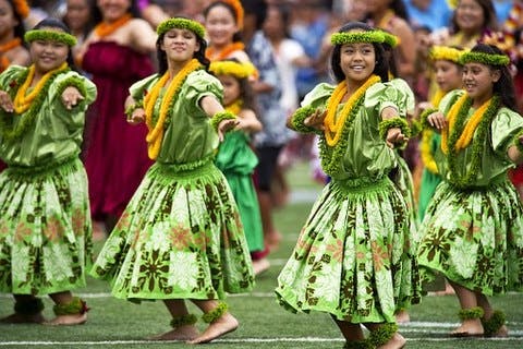 Medium hawaiian hula dancers 377653  340