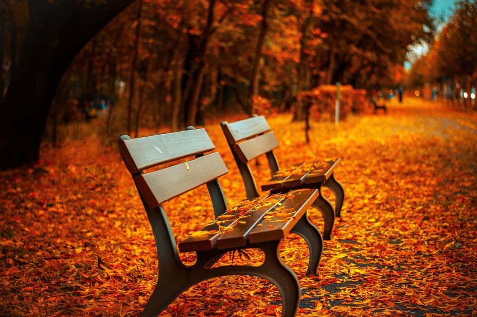 Large autumn avenue bench 40884  1 