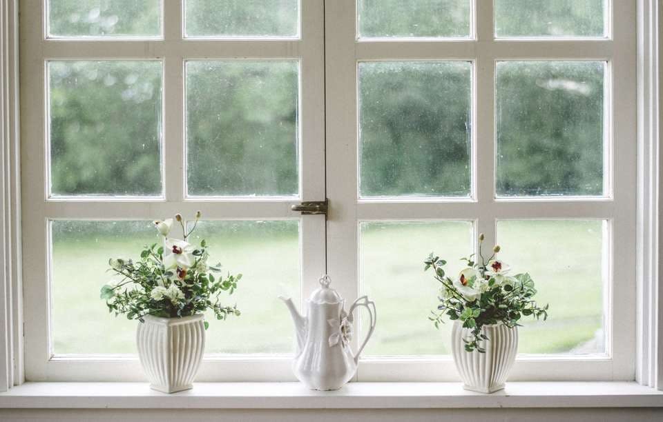 窓辺に飾ったダイソーの観葉植物