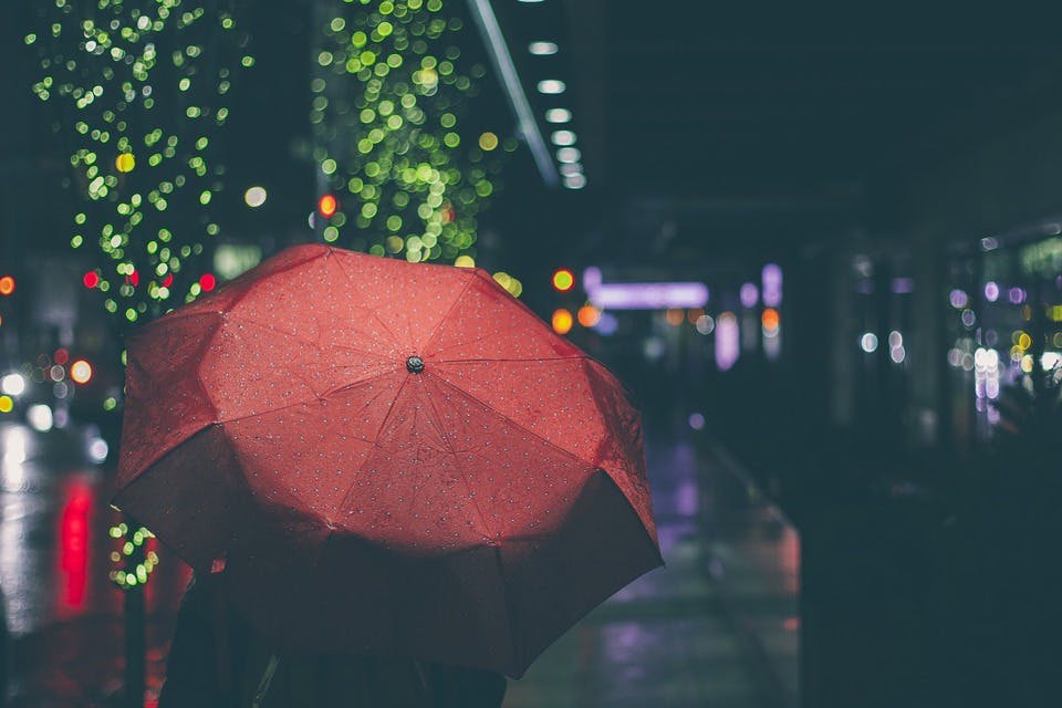 ダイソーの傘で雨の日を楽しむ女性