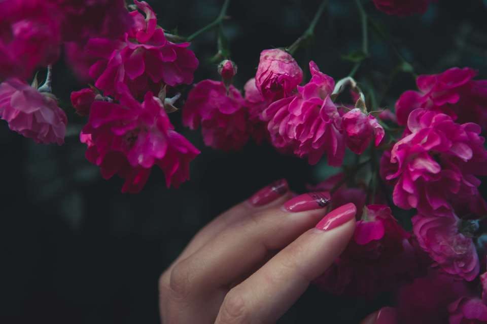 パープルネイルとピンクの花