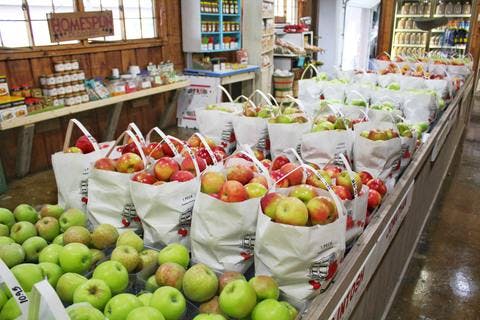 Medium apples business commerce 1831825