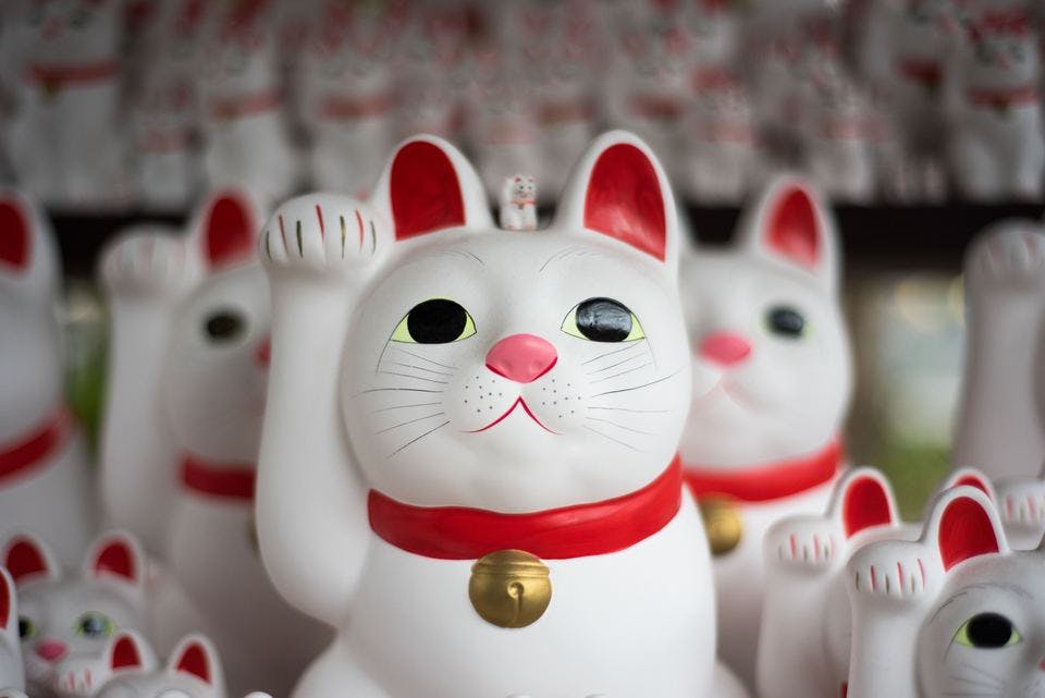 岡山県で人気の御朱印帳の招き猫