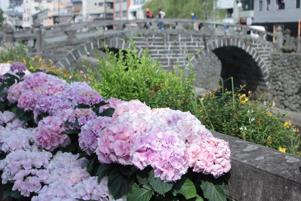 長崎眼鏡橋と紫陽花