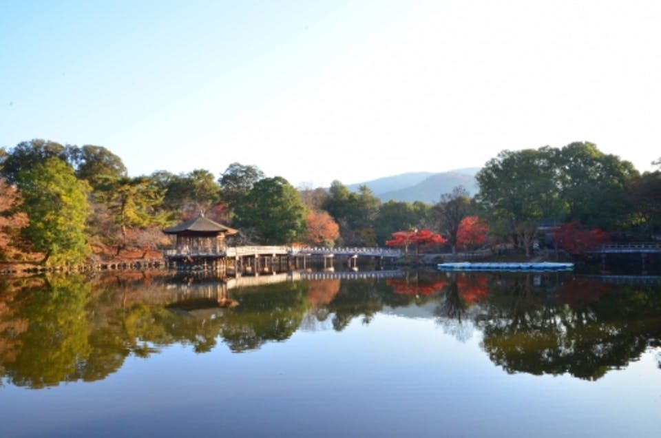 奈良公園・鷺池