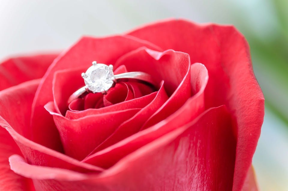 バラの花束と指輪でプロポーズ