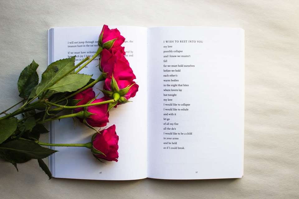 ロマンティックな薔薇と詩の本