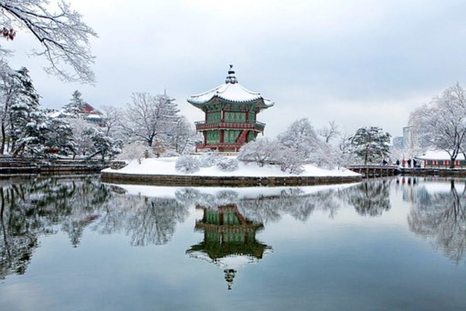 雪の韓国