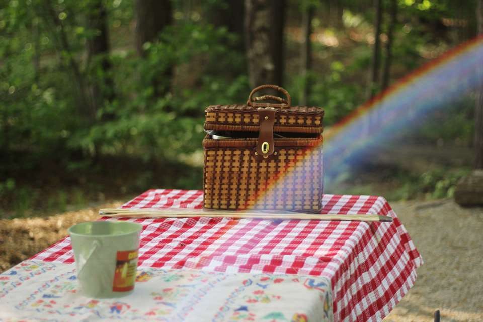 ピクニックのお弁当箱