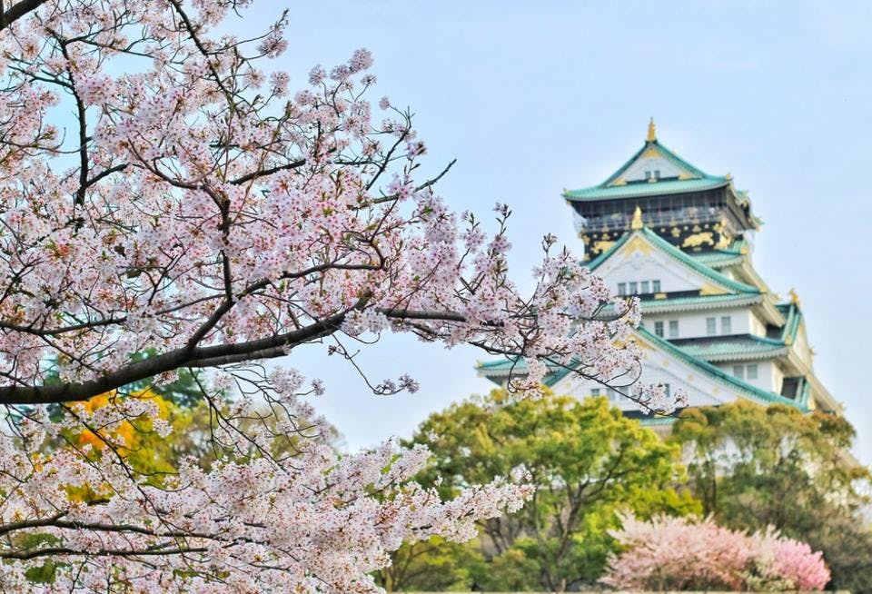 お花見　名古屋城