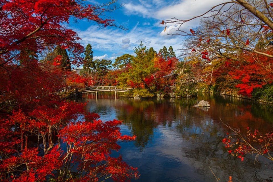 紅葉の京都庭園