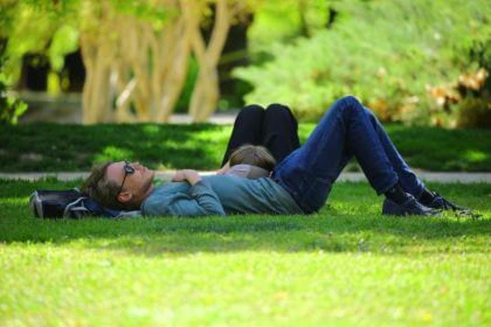芝生で寝転がるまったりデート