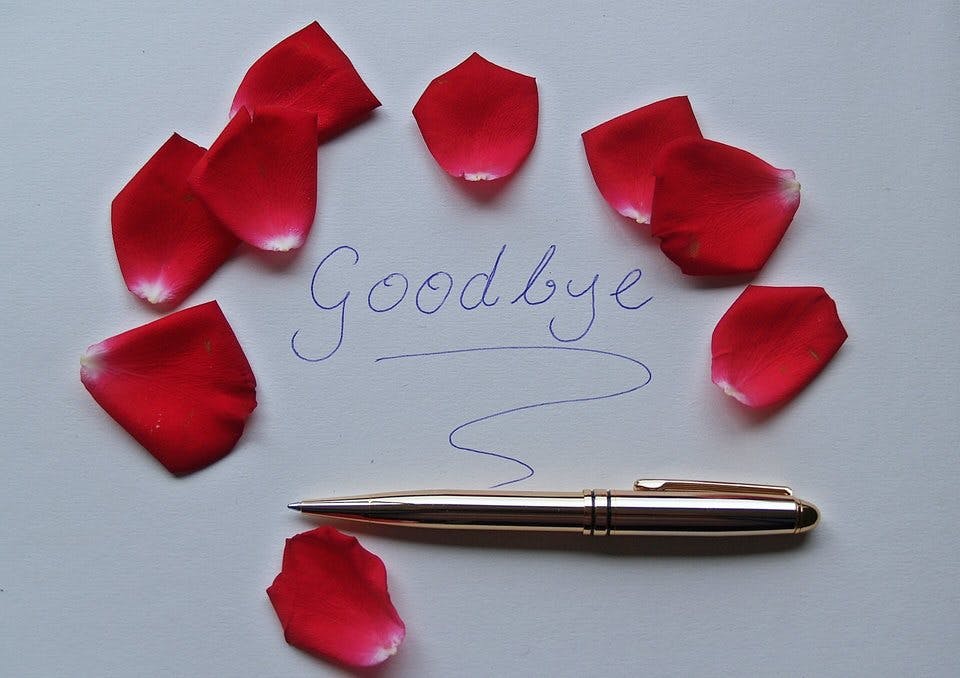 赤いバラの別れのメッセージ