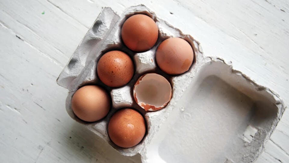 食費節約食材の卵