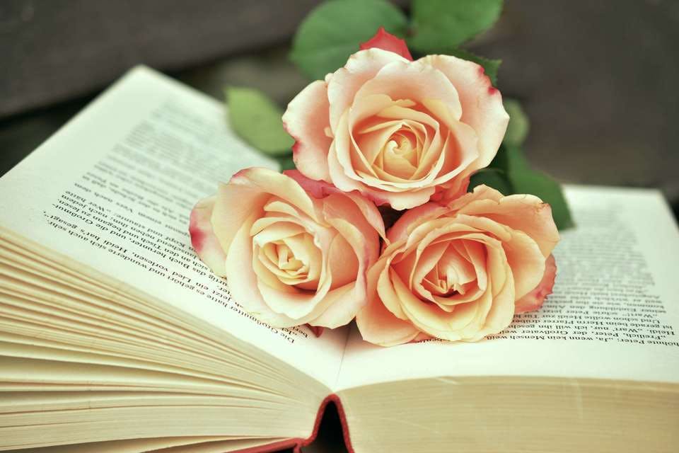 おまじないで恋愛運を上げる本と薔薇